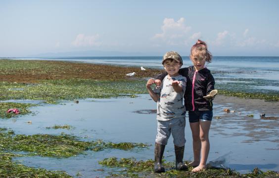 Children playing on the beach during low tide