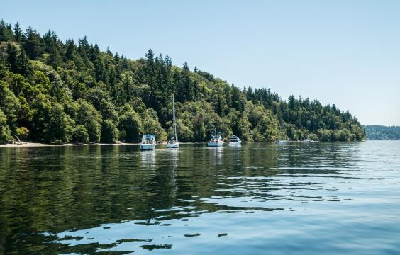 Blake Island shore with buoyed boats, forests, Puget Sound