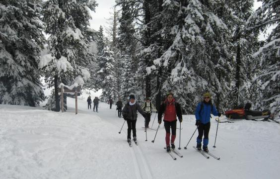 cross-country skiers on a groomed trail at a sno-park